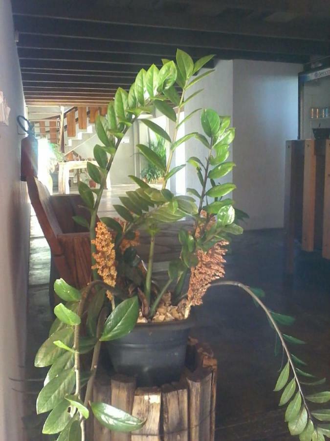 Pouso D' Braga Hotel Pirenopolis Ngoại thất bức ảnh